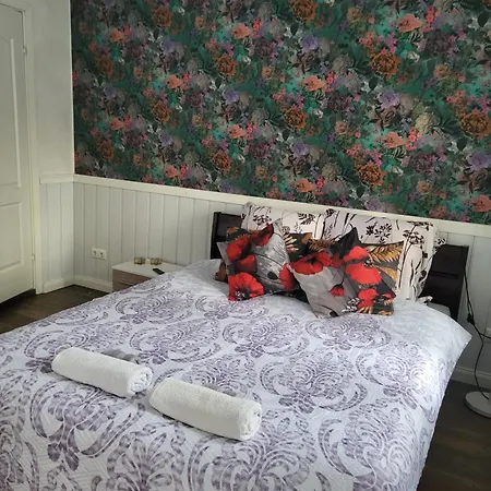 Stuudiomajutus Appartement Elva