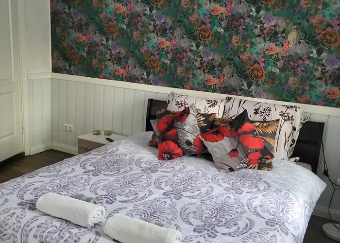 Stuudiomajutus Appartement Elva